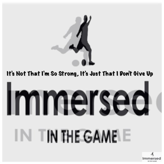 12079132_1296271627056011_5304690804910393117_n